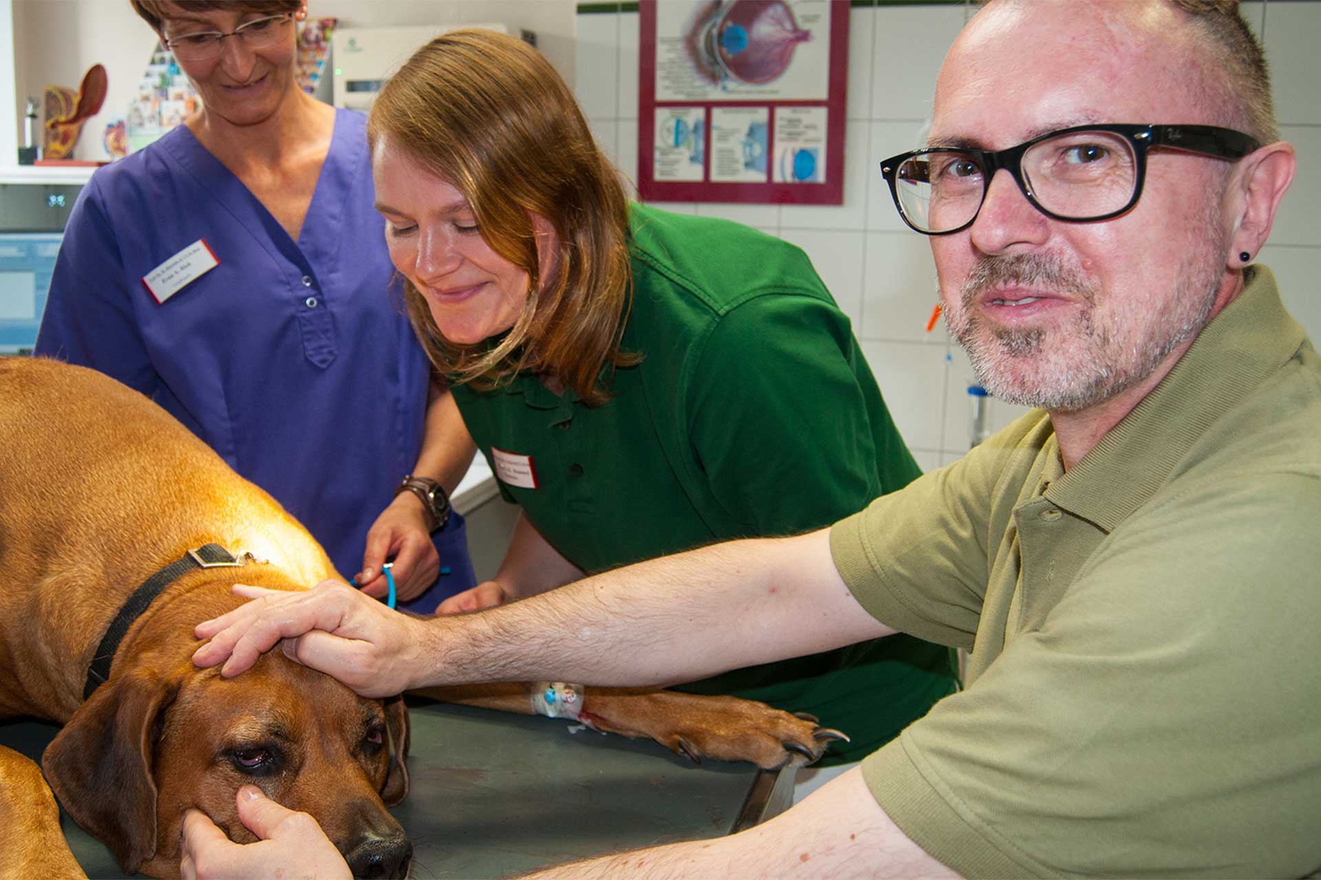 Ralf Hinrichs bei einer Behandlung am Hund